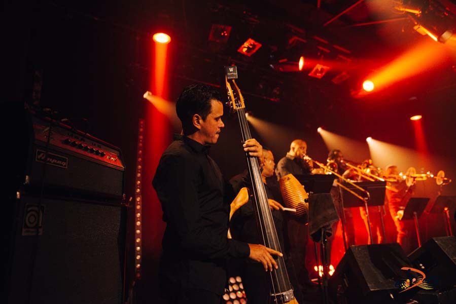 Carnaval-Salsa-Festival-Limoges-2018–concert49-1 Festival Salsa Carnaval 2018