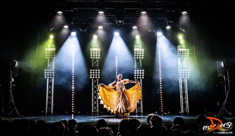 Festival-Salsa-Carnaval-Limoges-2019-136 Festival Salsa Carnaval 2019