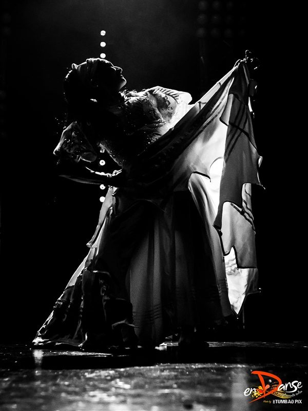 Festival-Salsa-Carnaval-Limoges-2019-140 Festival Salsa Carnaval 2019