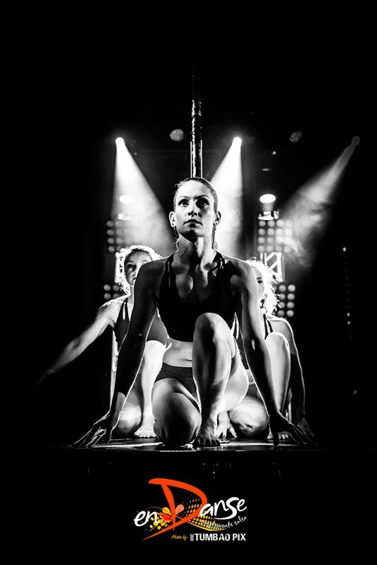 Festival-Salsa-Carnaval-Limoges-2019-171 Festival Salsa Carnaval 2019