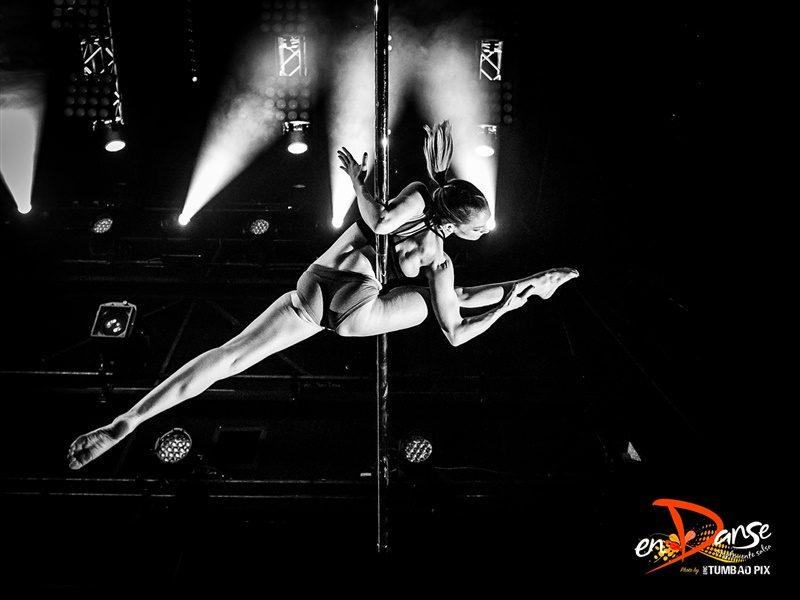 Festival-Salsa-Carnaval-Limoges-2019-172 Festival Salsa Carnaval 2019