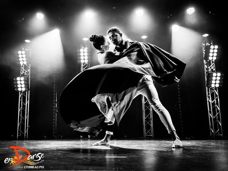 Festival-Salsa-Carnaval-Limoges-2019-212 Festival Salsa Carnaval 2019