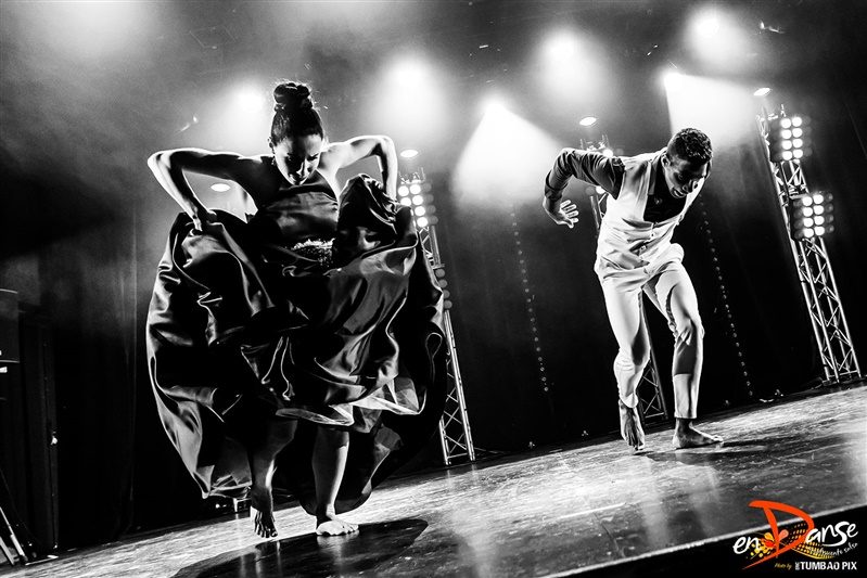 Festival-Salsa-Carnaval-Limoges-2019-216 Festival Salsa Carnaval 2019