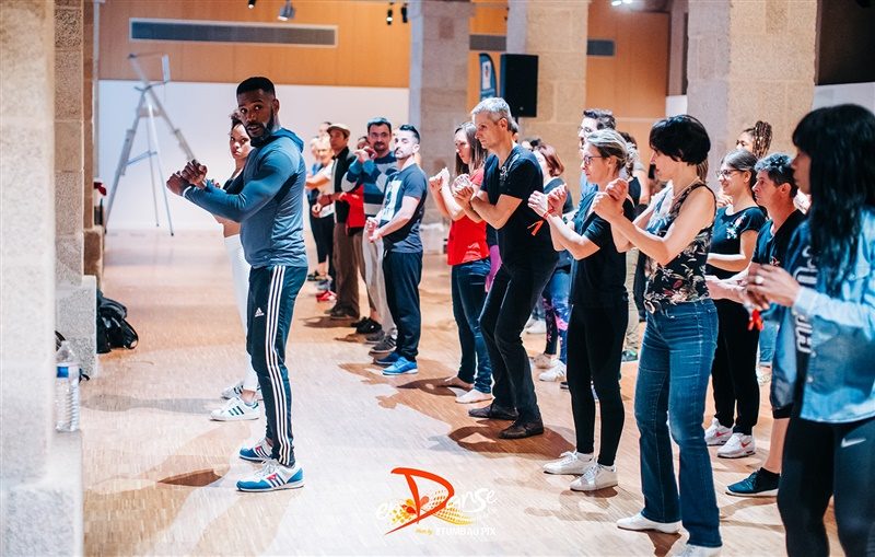 Festival-Salsa-Carnaval-Limoges-2019-334 Festival Salsa Carnaval 2019