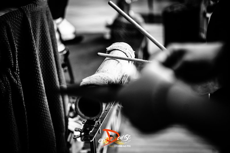 Festival-Salsa-Carnaval-Limoges-2019-349 Festival Salsa Carnaval 2019