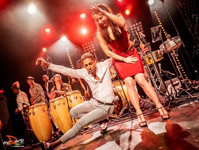 Festival-Salsa-Carnaval-Limoges-2019-386 Festival Salsa Carnaval 2019