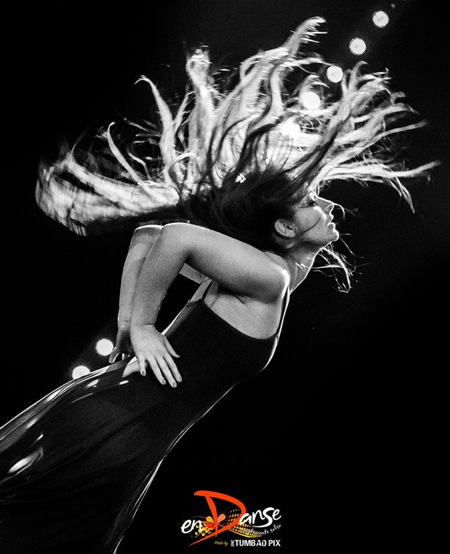 Festival-Salsa-Carnaval-Limoges-2019-433 Festival Salsa Carnaval 2019