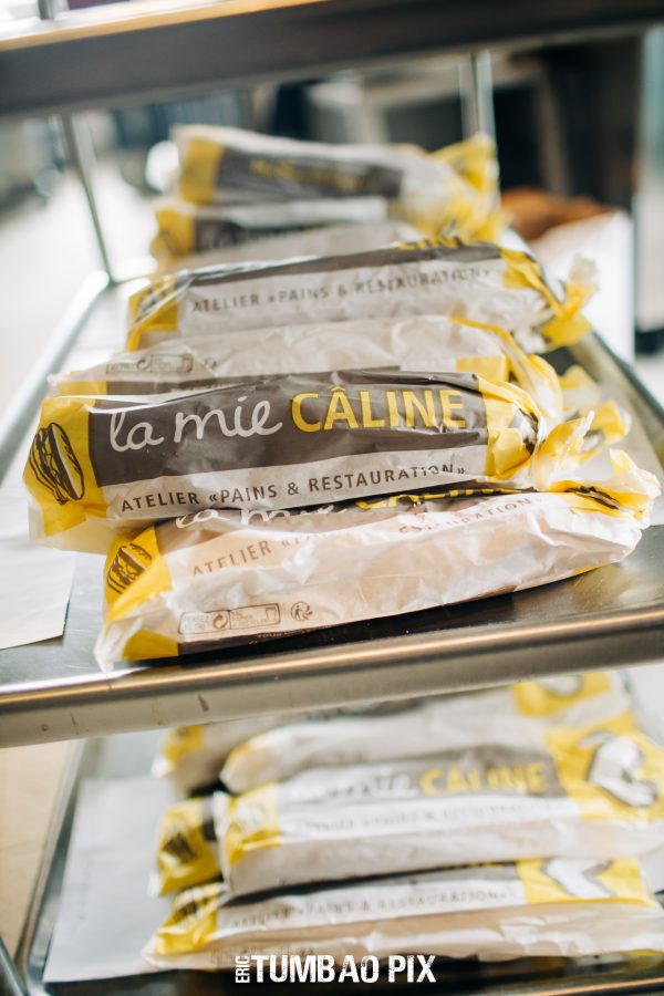 Festival-Salsa-Carnaval-Limoges-2020-399 Festival Salsa Carnaval 2020