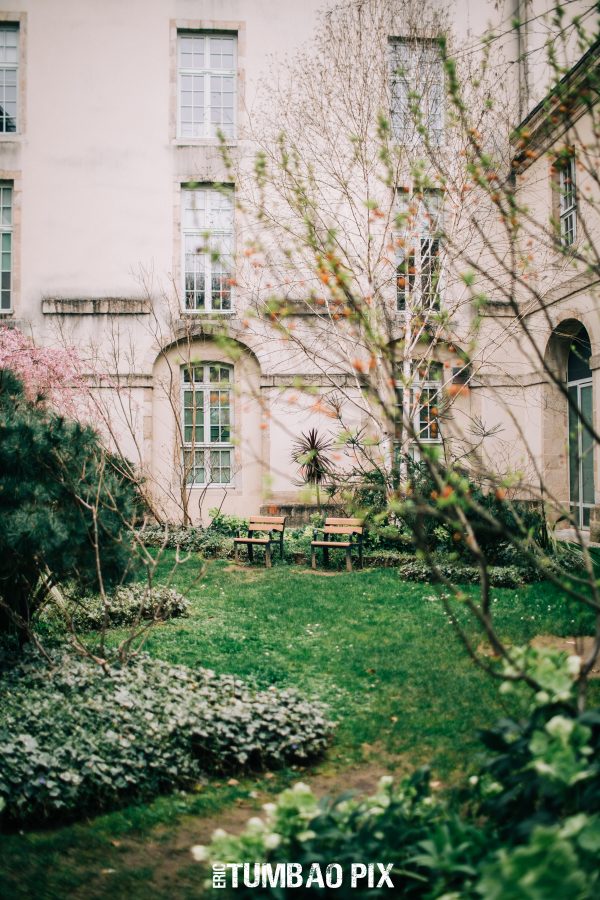 Festival-Salsa-Carnaval-Limoges-2020-482 Festival Salsa Carnaval 2020