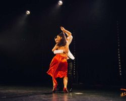Carnaval-Salsa-Festival-Limoges-2018–show250-1