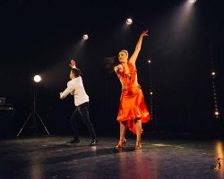 Carnaval-Salsa-Festival-Limoges-2018–show281-1