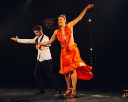 Carnaval-Salsa-Festival-Limoges-2018–show283-1